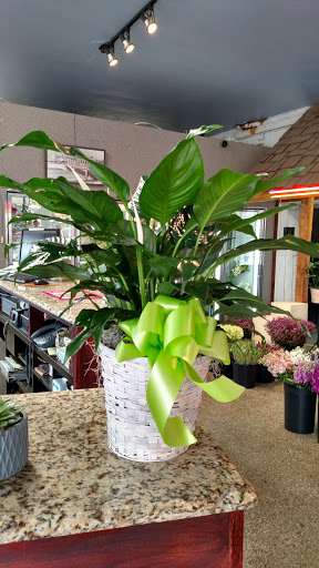 Florist «Westgate Flower & Plant Shop», reviews and photos, 841 S Oak Park Ave, Oak Park, IL 60304, USA
