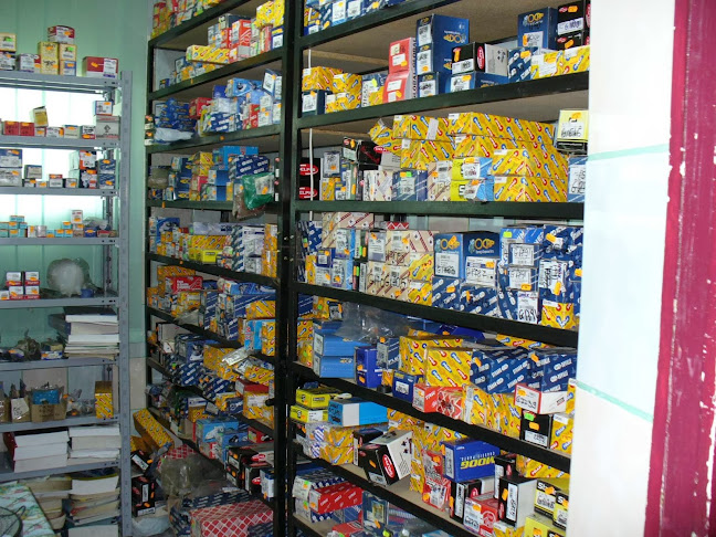 Opinii despre Kritters în Brașov - Service auto