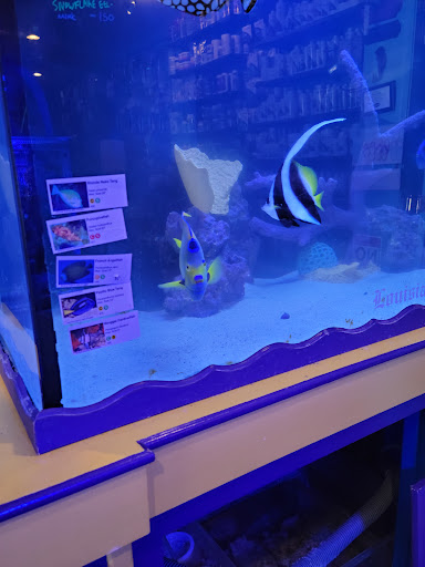 Aquarium «Reef Coral», reviews and photos, 12442 Jefferson Hwy, Baton Rouge, LA 70816, USA