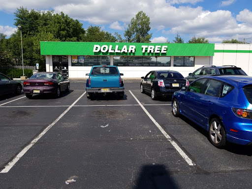 Dollar Store «Dollar Tree», reviews and photos, 508 S White Horse Pike, Somerdale, NJ 08083, USA