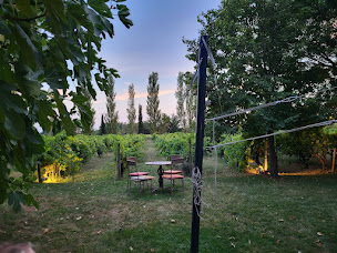 Photo n°55 de L'Huître et la Vigne à Saint-Hilaire-d'Ozilhan ()