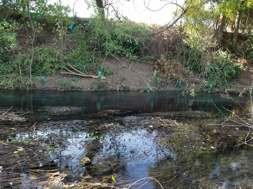 Public Golf Course «Landa Park Golf Course at Comal Springs», reviews and photos, 180 Golf Course Rd, New Braunfels, TX 78130, USA