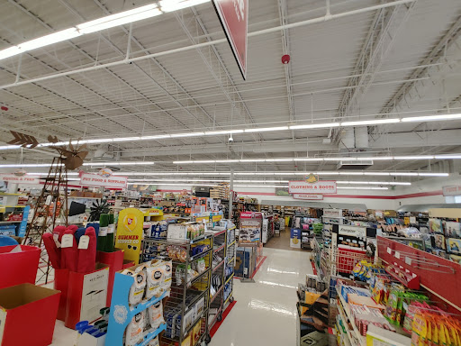 Home Improvement Store «Tractor Supply Co.», reviews and photos, 11181 Maple Ridge Rd, Medina, NY 14103, USA