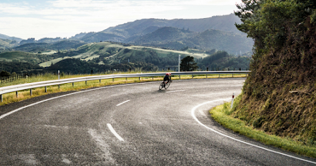 Livelo Auckland - Road Bike Rentals and Guided Tours