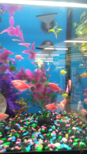 Pet Supply Store «Pet Supplies Plus», reviews and photos, 1377 N 21st St, Newark, OH 43055, USA