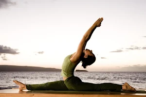 Premier Pilates & Yoga image
