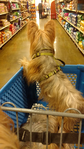 Pet Supply Store «PetSmart», reviews and photos, 380 S State Rd 434, Altamonte Springs, FL 32714, USA