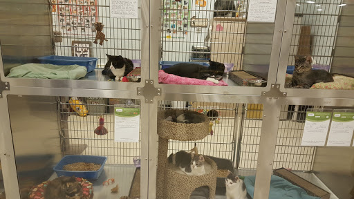 Pet Supply Store «PetSmart», reviews and photos, 57 NJ-23, Wayne, NJ 07470, USA