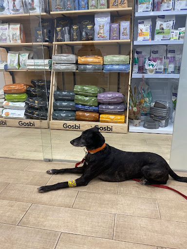 Sabana Veterinaria en Vilamarxant