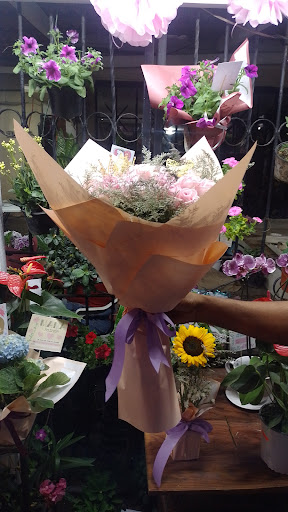 Casa Floral – Manzanillo