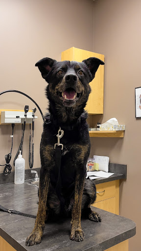 Weir Veterinary Services Ltd image