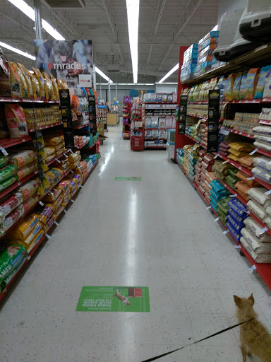 Pet Supply Store «Petco Animal Supplies», reviews and photos, 5481 Lone Tree Way, Brentwood, CA 94513, USA