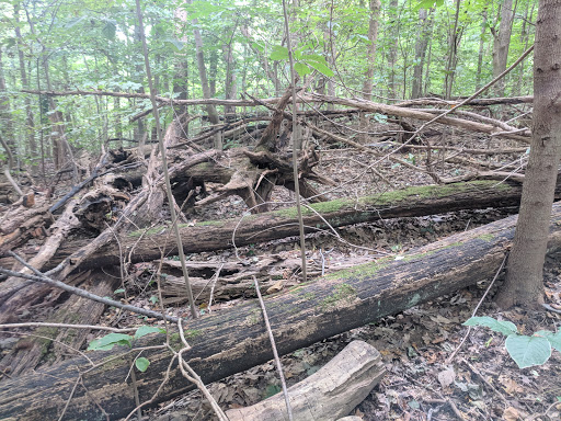 Museum «Audubon Museum & Nature Center», reviews and photos, 3100 US-41, Henderson, KY 42420, USA