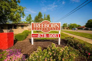 Treeborn Apartments image