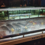 Photo n°1 de l'avis de stefano.a fait le 02/09/2023 à 21:07 sur le  MAKARI à Foggia