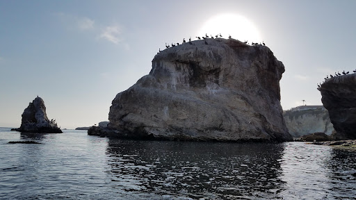 Park «Dinosaur Caves Park», reviews and photos, 2701 Price St, Pismo Beach, CA 93449, USA