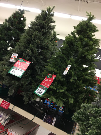 Discount Store «Big Lots», reviews and photos, 2842 Chapel Hill Rd, Douglasville, GA 30135, USA