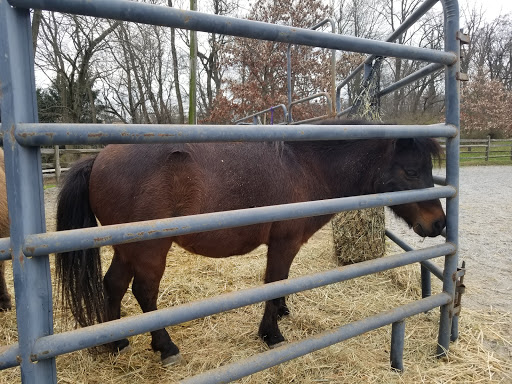 Event Venue «Ironstone Ranch», reviews and photos, 1 Hollinger Ln, Elizabethtown, PA 17022, USA