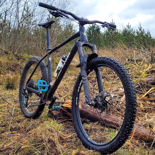 Reviews of RSF Mountain Bike Suspension Specialists in Plymouth - Bicycle store