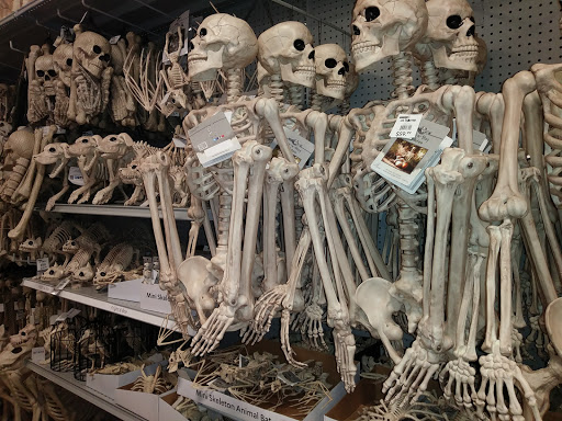 Home Goods Store «At Home», reviews and photos, 3700 S Campbell Ave, Springfield, MO 65807, USA