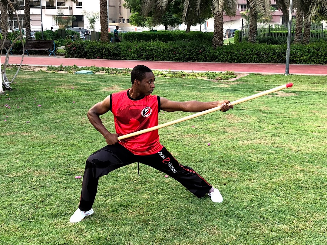 Dragon Warriors Martial Arts - Tanzania
