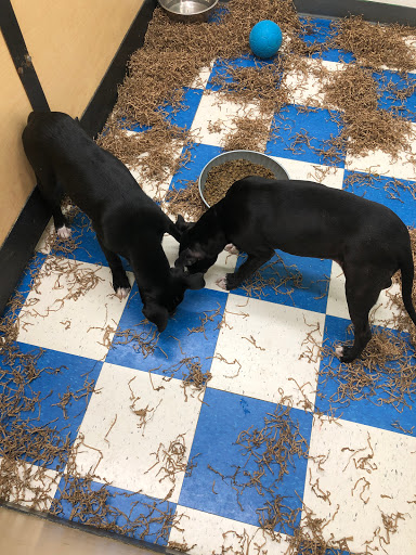 Pet Supply Store «Pets Plus - Bensalem», reviews and photos, 1336 Bristol Pike, Bensalem, PA 19020, USA