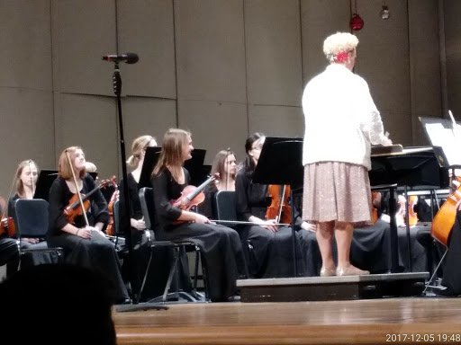 Performing Arts Theater «Medina Performing Arts Center», reviews and photos, 851 Weymouth Rd, Medina, OH 44256, USA