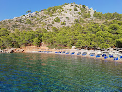 Bisti Beach'in fotoğrafı plaj tatil beldesi alanı