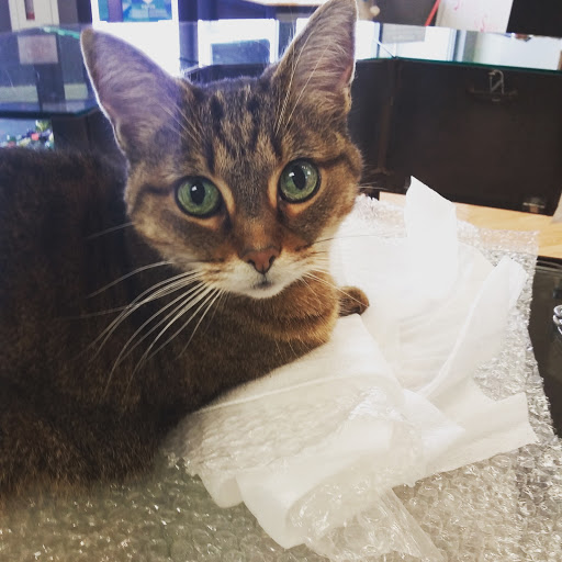 Tobacco Shop «Smokes & Such», reviews and photos, 3439 Dempster St, Skokie, IL 60076, USA