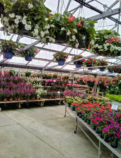 Garden Center «H J Benken Florist & Garden», reviews and photos, 6000 Plainfield Rd, Cincinnati, OH 45213, USA
