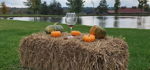 Vineyard «Laurentia Vineyard & Winery», reviews and photos, 4599 S Madison Rd, Madison, OH 44057, USA