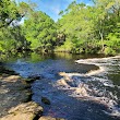 Steinhatchee Falls