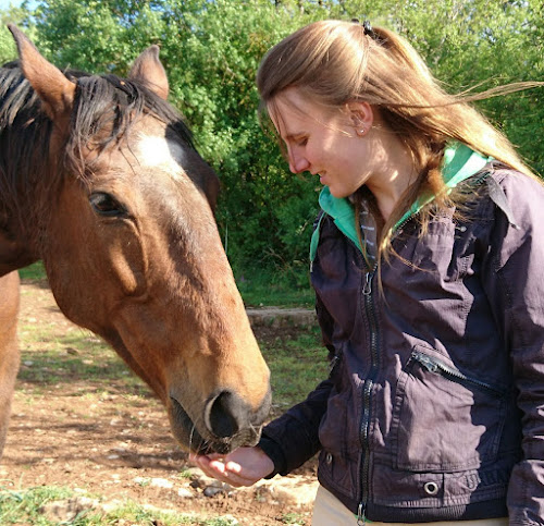 Centre de formation CFC-ComAnimale Issendolus