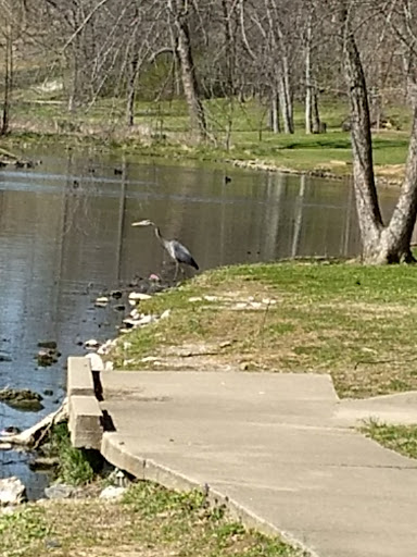 Golf Course «Vinny Links Golf Course», reviews and photos, 2009 Sevier St, Nashville, TN 37206, USA