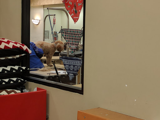 Pet Supply Store «PetSmart», reviews and photos, 5521 Mirage St, Yorba Linda, CA 92887, USA