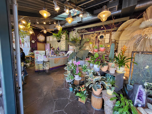 Florist «Blossoms Flower Shop», reviews and photos, 147 E Sailer Dr, San Mateo, CA 94403, USA