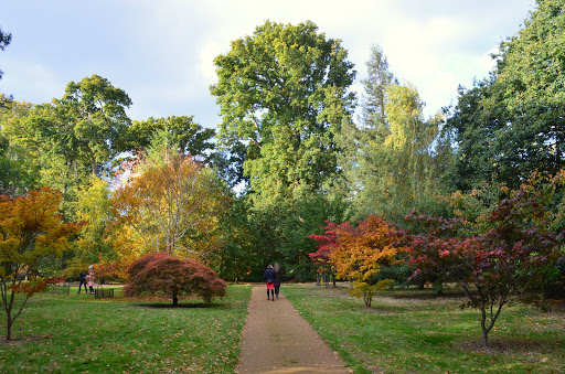 Harcourt Arboretum (University of Oxford)