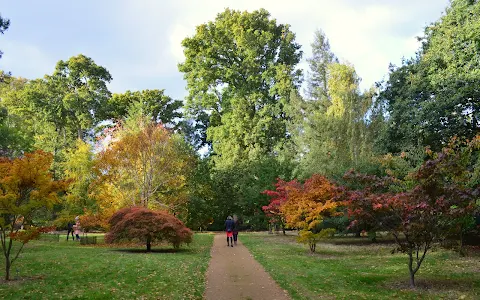 Harcourt Arboretum (University of Oxford) image