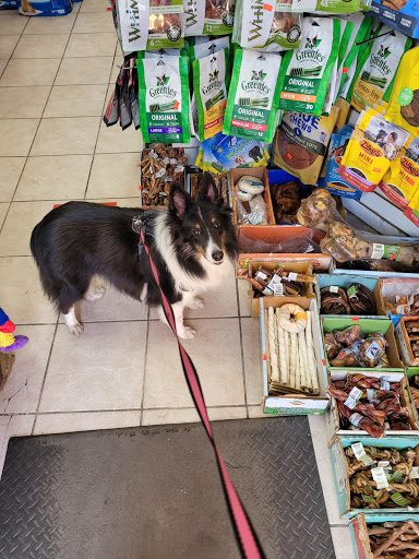 Pet Supply Store «ABC Pet Supply, Inc», reviews and photos, 225 Dekalb Ave, Brooklyn, NY 11205, USA