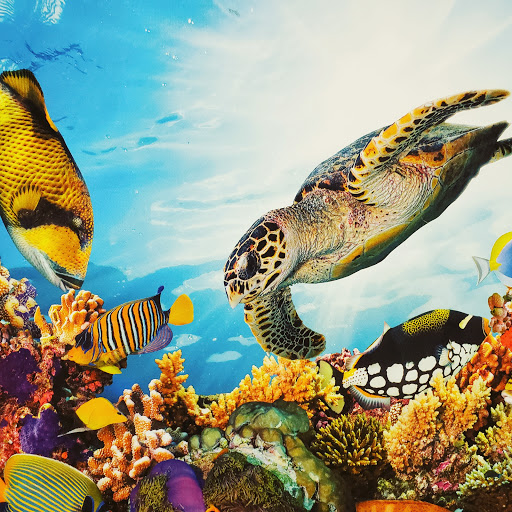 Craft Store «Hobby Lobby», reviews and photos, 3000 White Bear Ave #14, Maplewood, MN 55109, USA