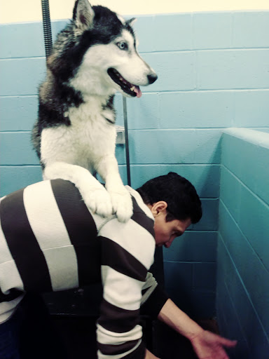 Pet Store «Feeders Supply», reviews and photos, 4921 Dixie Hwy a, Louisville, KY 40216, USA