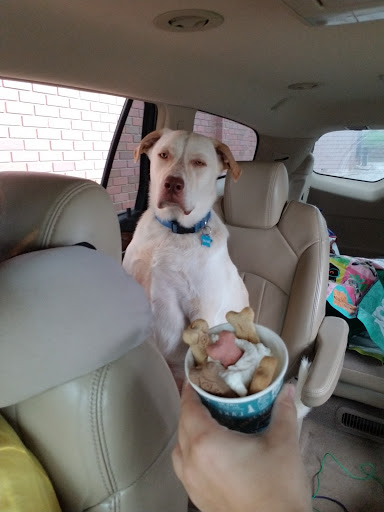 Coffee Shop «Caribou Coffee», reviews and photos, 1310 W Burlington Ave, Fairfield, IA 52556, USA