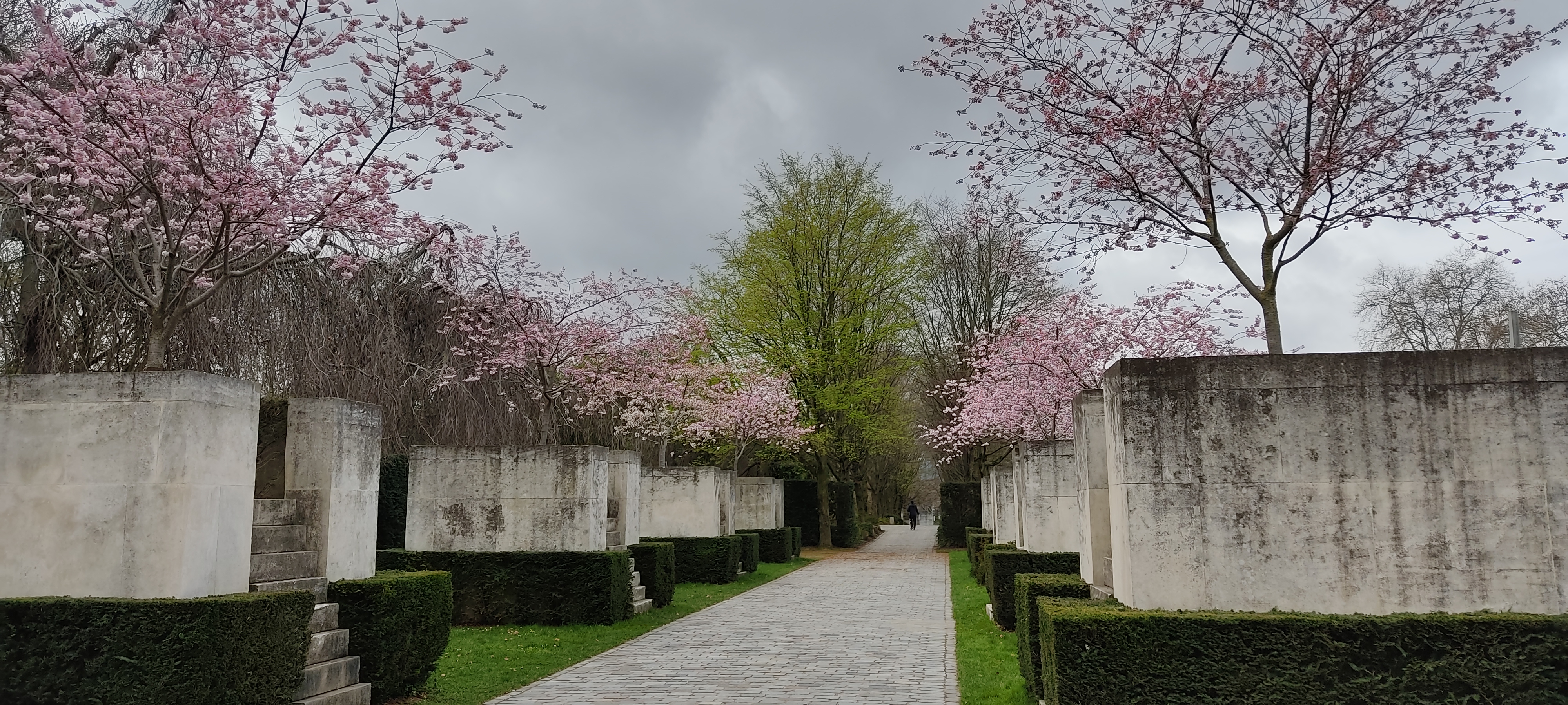 Photo n° 9 de l'avis de Envol95.� fait le 13/03/2022 à 18:16