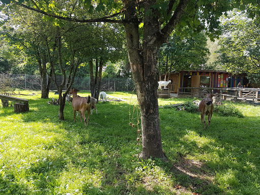 Kinder- und Jugendfarm Neuaubing