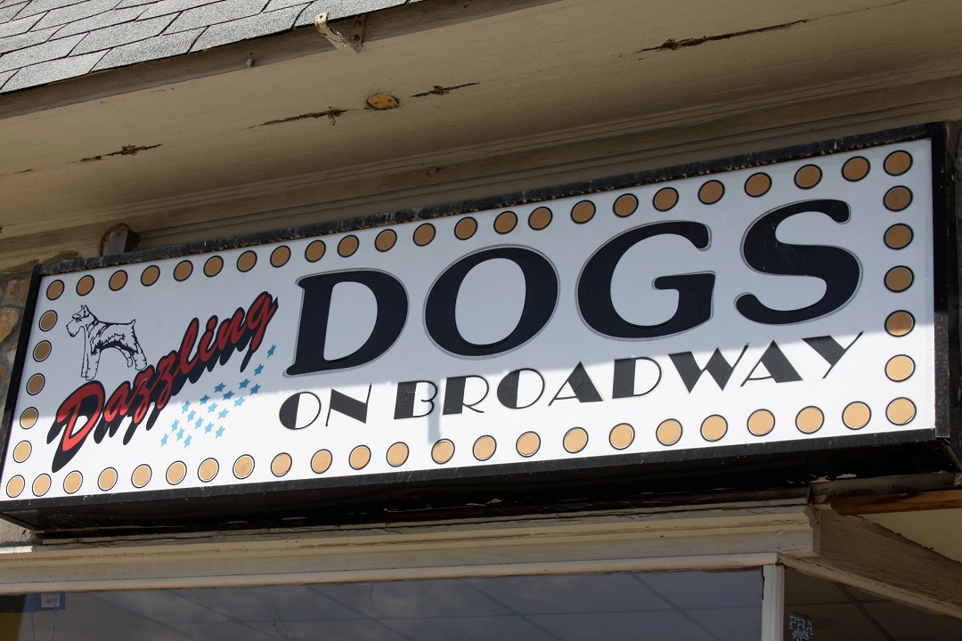 Dazzling Dogs On Broadway