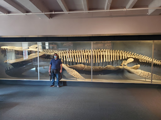 Museum «Peabody Museum of Archaeology and Ethnology», reviews and photos, 11 Divinity Ave, Cambridge, MA 02138, USA