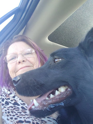 Pet Supply Store «Petco Animal Supplies», reviews and photos, 1415 E Warner Rd, Gilbert, AZ 85296, USA