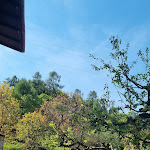 Photo n°9 de l'avis de Ilaria.a fait le 09/05/2021 à 19:57 sur le  Ristorante La Casina à Drena