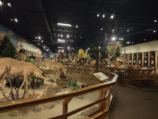 Sporting Goods Store «Bass Pro Shops Base Camp», reviews and photos, 2500 E Kearney St, Springfield, MO 65803, USA