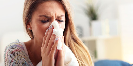 Plumber «E. Dake LTD, The Plumbing & Heating Doctors», reviews and photos, 3717 N Ridge Rd, Perry, OH 44081, USA